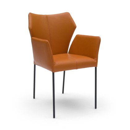 Fly Dining Chair with Arms Fly Dining Chair with Arms