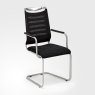 Venjakob Dining Chair Lilli Plus with Arms