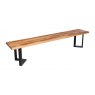 Thor Bench